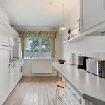 Reetdachchalet Emmelsbull-Horsbull