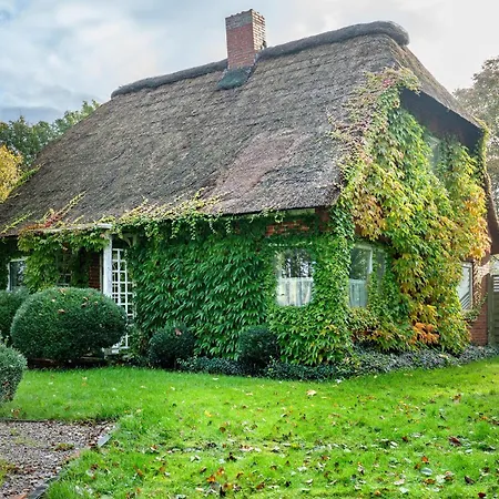 Шале Reetdachchalet Emmelsbull-Horsbull